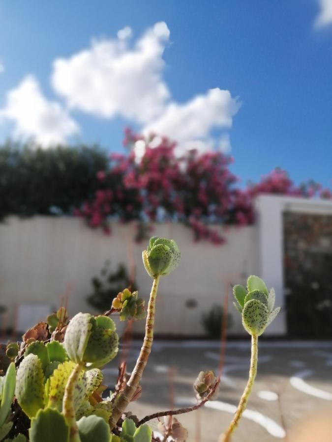 Mouras Resort Livadi  Esterno foto